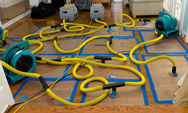Professional Burst Pipe Water Damage technician working in Baden, MD